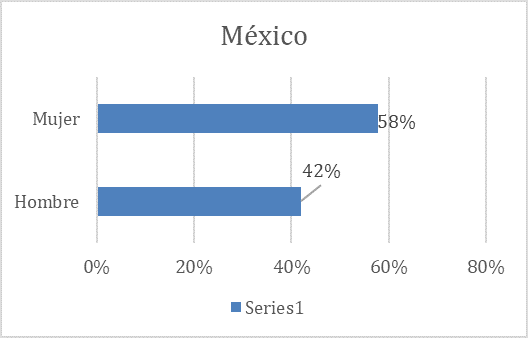 Gráfico 8b: Perfil demográfico