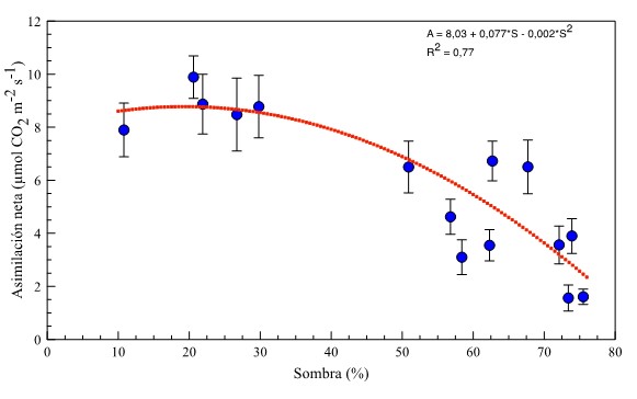 Relaci&oacute;n entre la sombra en la
asimilaci&oacute;n neta de CO2 (A) de cafetos (Coffea arabica L.) cv. Castillo en sistemas agroforestales en San
Juan de R&iacute;oseco, Cundinamarca, Colombia.