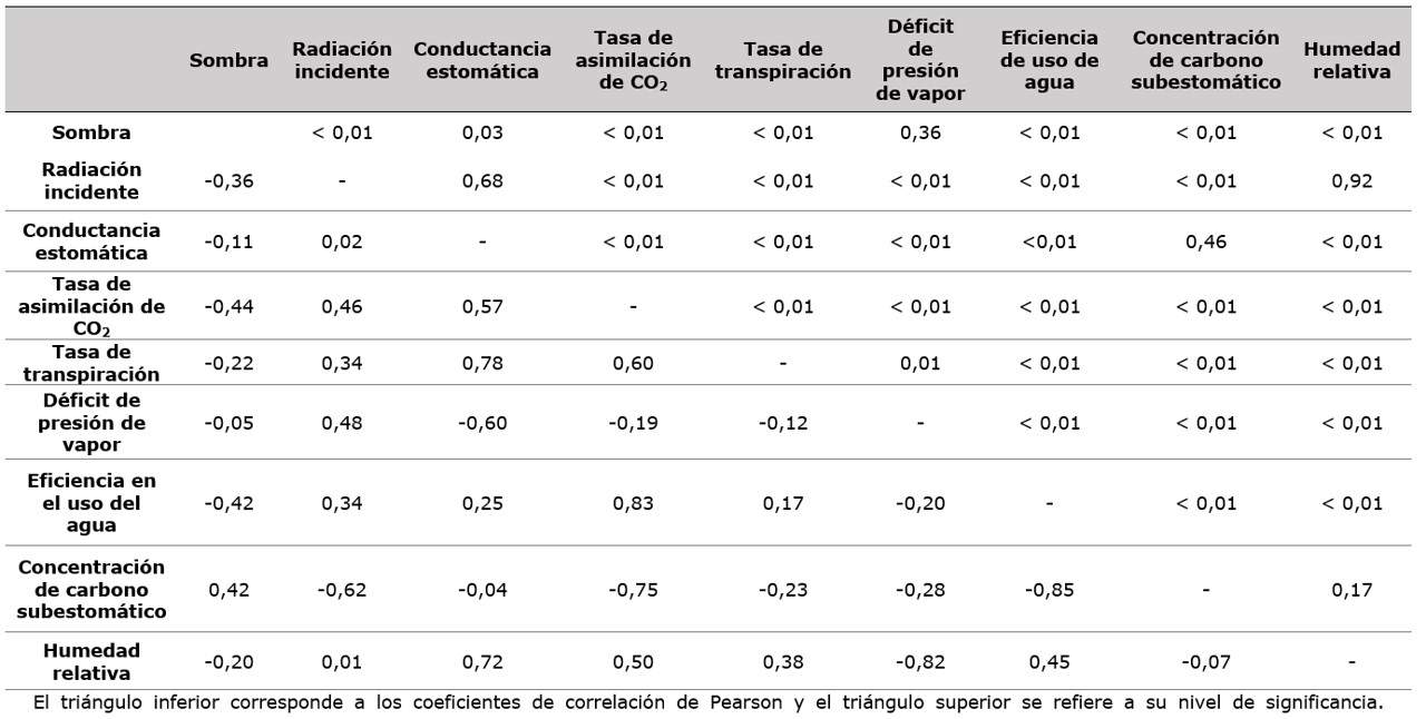 Coeficiente de correlaci&oacute;n de Pearson
entre la sombra y variables ecofisiol&oacute;gicas de cafetos (Coffea arabica L.) cv. Castillo en SAF en San Juan de R&iacute;oseco,
Cundinamarca, Colombia.