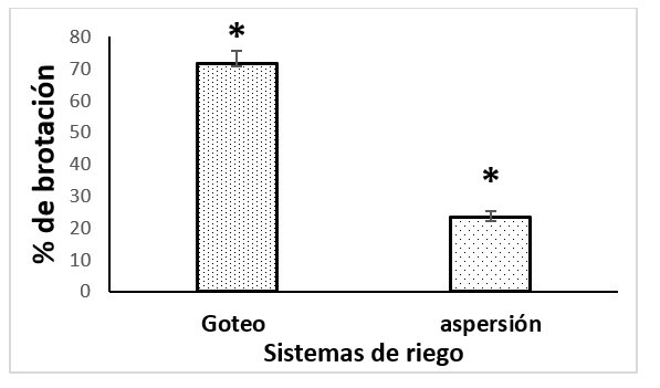Efecto de dos sistemas de riego sobre la brotación de tubérculos de
papa. 