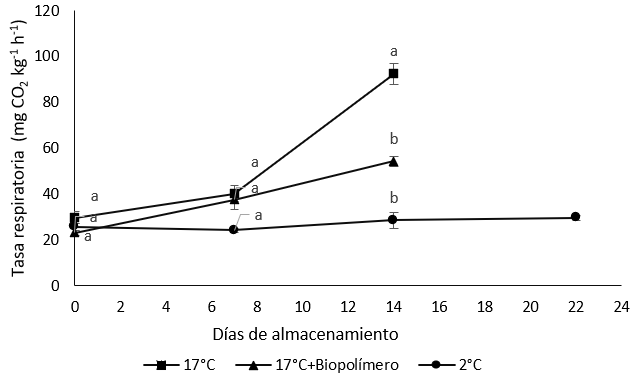Comportamiento de la tasa respiratoria (mg
CO2 kg-1 h-1) durante la poscosecha
del fruto de durazno [Prunus persica (L.) Batsch] cv. Gran Jarillo, almacenados a diferentes temperaturas.
Los valores corresponden al promedio (n = 4). Las barras verticales indican el
error estándar. Letras iguales: no existen diferencias significativas, letras
diferentes: existen diferencias estadísticas significativas [según la prueba de
Tukey, p < 0,05]. 