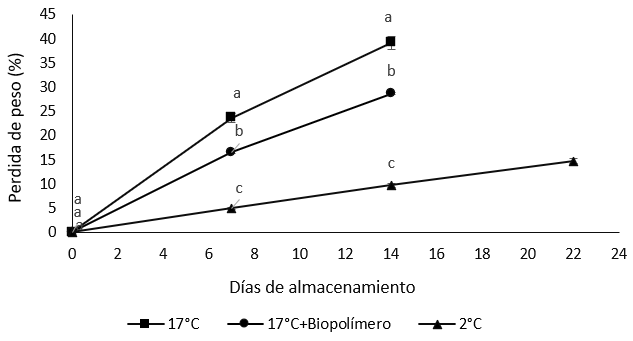 Comportamiento de la pérdida de peso (%)
durante la poscosecha del fruto de durazno [Prunus persica (L.)
Batsch] cv. Gran Jarillo,
almacenados a diferentes temperaturas. Los valores corresponden al promedio (n =
4). Las barras verticales indican el error estándar. Letras iguales: no existen
diferencias significativas, letras diferentes: existen diferencias estadísticas
significativas [según la prueba de Tukey, p < 0,05].