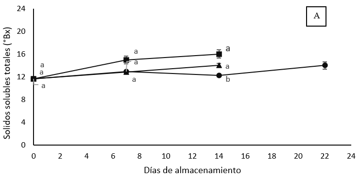Comportamiento
de los Sólidos Solubles Totales (A), Acidez Total Titulable (B) y Relación de
madurez (C), durante la poscosecha del fruto de
durazno [Prunus persica
(L.) Batsch] cv. Gran
Jarillo, almacenados a diferentes temperaturas. Los valores corresponden al
promedio (n=4). Las barras verticales indican el error estándar Letras iguales:
no existen diferencias significativas, letras diferentes: existen diferencias
estadísticas significativas [según la prueba de Tukey, p < 0,05].