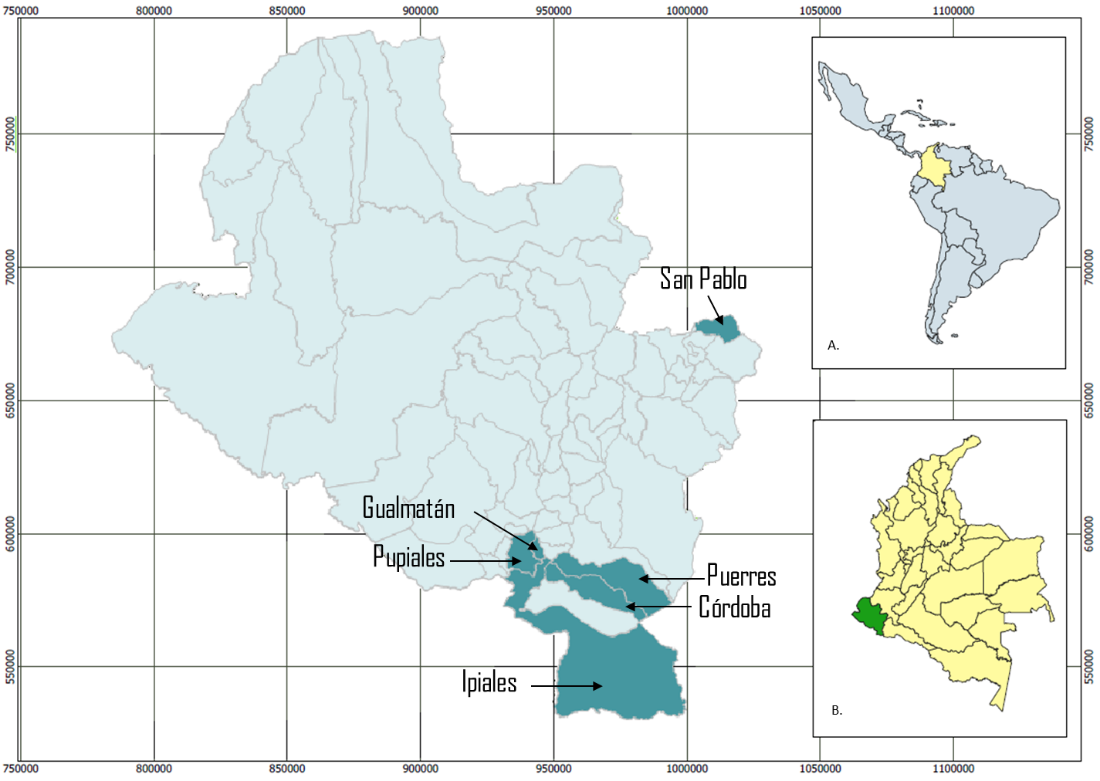 Distribución espacial de encuestas aplicadas a
hogares productores de uchuva en el departamento de Nariño, 2019.