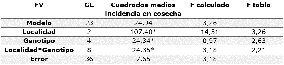 Análisis de varianza de la incidencia de R.
solani Kühn [malformación de tubérculos] durante la cosecha de
genotipos comerciales de papa de Nariño.