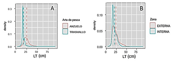 Figura 2A. Distribución de tallas [cm] de peces
capturados con los artes de pesca de anzuelo y trasmallo. Figura 2B. Distribución de tallas [cm] de peces capturados en las áreas
interna y externa de la bahía de Tumaco con ambos artes de pesca.
