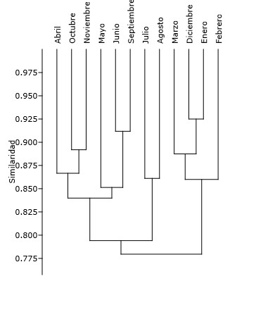 Dendrograma
de similitud entre meses, de la riqueza de recursos fitogenéticos