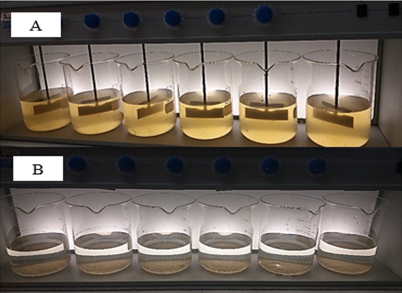 Fotografía que presenta el montaje del test de jarras
con el agua recolectada inicialmente de la Ciénaga Grande (A) y posterior al tratamiento
de la combinación coagulante, semillas de moringa y almidón de yuca, 60:40 (B).