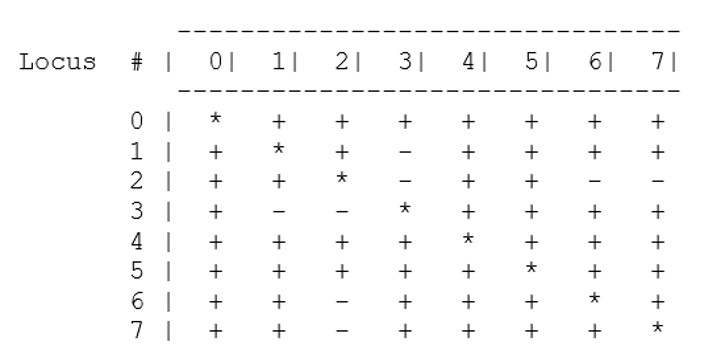 Resultados
de la prueba de desequilibrio de ligamiento para todos los pares de microsatélites
(P=0,05). Los símbolos “+” indican parejas de loci SSR
significativamente ligados, mientras el símbolo”- “indica lo contrario, no
ligados de forma significativa. Codificación de loci en la prueba: Loci 0:
MulSTR3, loci 1: Mul3SSR95, loci 2: MulSTR4,
loci 3: SS04, loci 4: MulSTR5, loci 5: MulSTR6,
loci 6: MulSTR2, loci 7: MulSTR1.