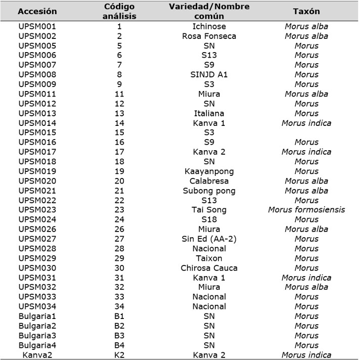 Accesiones que
conforman la colección de Morus spp.
