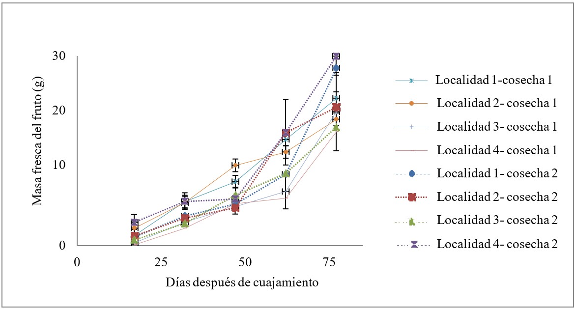 Variación
de la masa fresca desde cuaje hasta cosecha del fruto de ciruela variedad Horvin para las cuatro localidades, las barras representan
la desviación estándar.