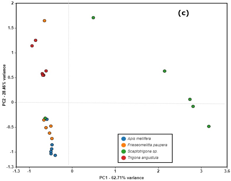 PCA de los espectros IR de
extractos etanólicos de propóleos, utilizando la
región entre 1800-600 cm-1 para las matrices de orden cero (a); primera
derivada (b); segunda derivada (c).