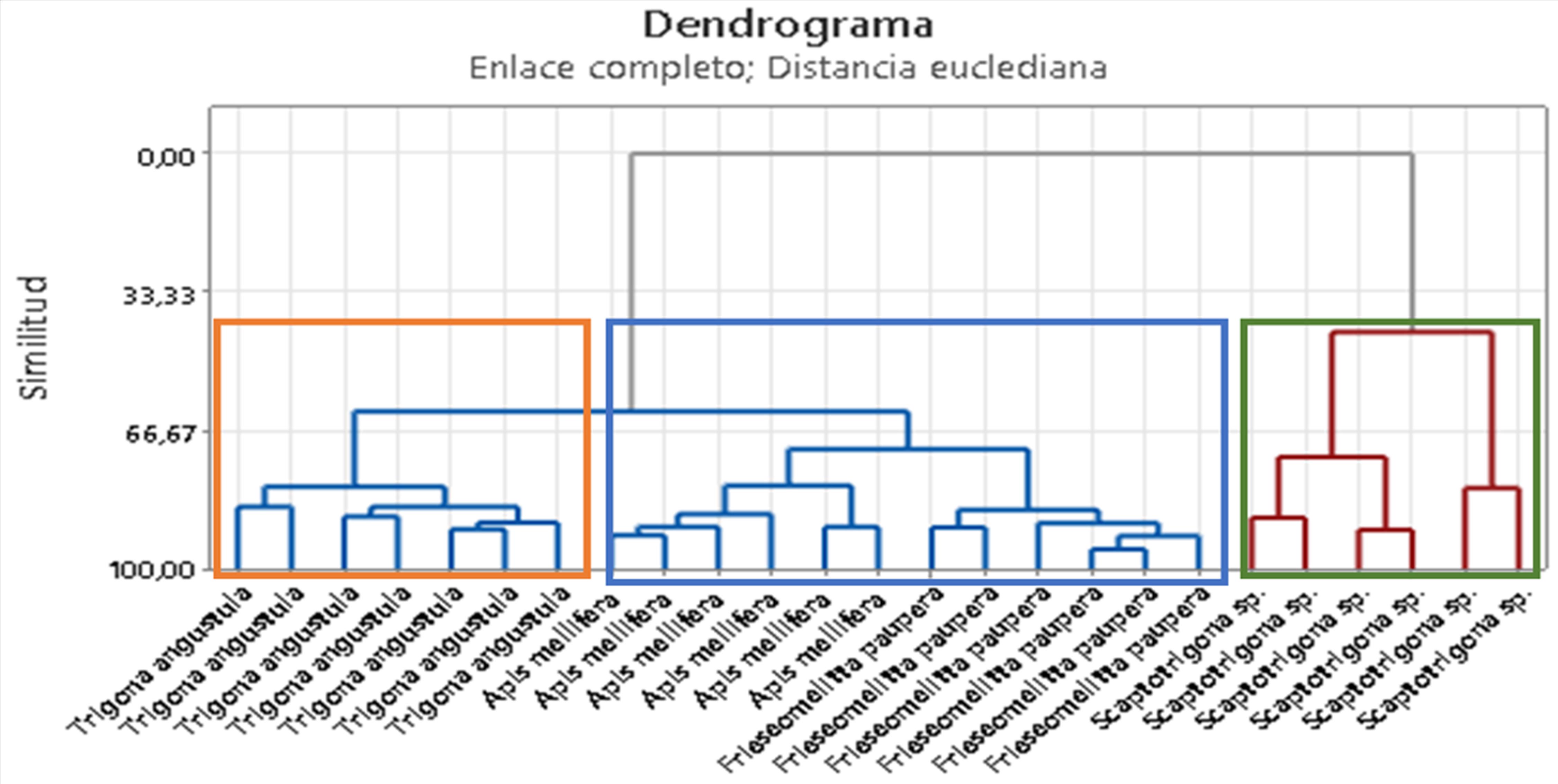 Análisis de
Conglomerados para la primera derivada muestras de extractos etanólicos de propóleos.