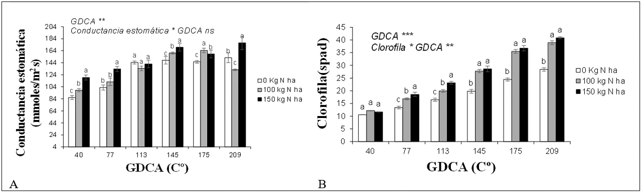 Comportamiento de la conductancia estomática (A) y del índice de
clorofila (B) en pasto kikuyo sometido a diferentes
dosis de N. Barras verticales en cada columna indican el error estándar (n=4). ns: interacción no significativa. ** p<0,01 ***p<0,001