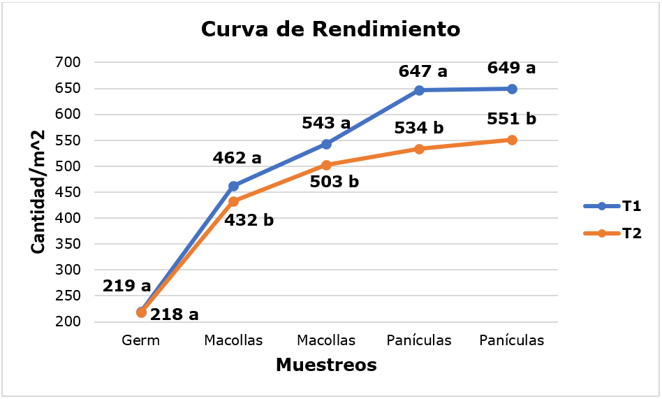 Curva de
rendimiento en las diferentes etapas del cultivo.  

Letras
iguales: no existe diferencia significativa, letras diferentes: existe
diferencia significativa