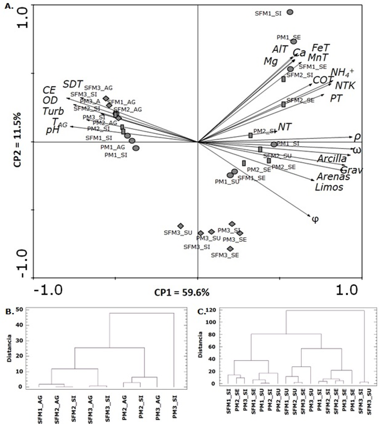 A. Análisis de componentes principales de las variables ambientales,
estaciones, muestreos y zonas de transición acuático terrestre. B. Análisis de agrupamiento usando
variables in situ y C. características del suelo. Donde: Sitios (SF: San Francisco, P: Paticos), muestreos (1: julio/2021, 2: septiembre/2022, 3: marzo/2022), Zona
en la transición acuático terrestre (AG: Agua, SE:
sedimento, SI: Suelo inundable y SU: Suelo).
