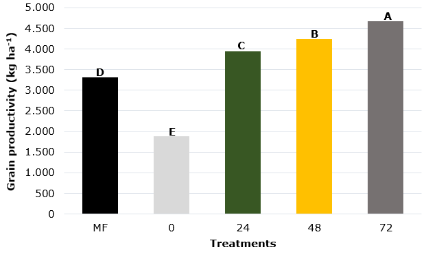 The production of maize grains
determined in the plots with mineral fertilization (MF), without sludge (0 Mg
ha-1) and with malt sludge at doses of 24, 48 and 72 Mg ha-1.
(Averages followed by the same lower-case letter does not differ [p > 0,05]
by Tukey test)