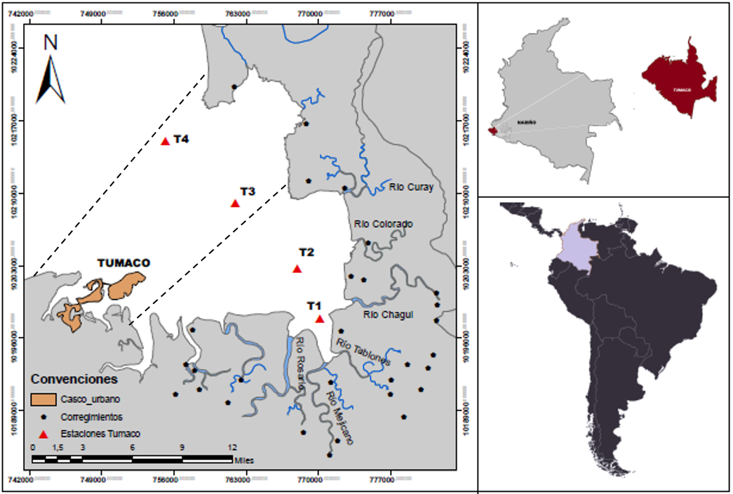 Bahía de Tumaco en el Pacífico colombiano: área de
estudio y zona de muestreo. La convención de los triángulos representa los
sitios de muestreo, siendo T1 y T2 la zona interna y T3 y T4 la zona externa de
la Bahía