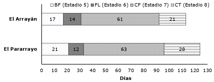 Duración de la fase de botón floral (BF Estadio 5), floración (FL Estadio 6), cuajado (CF, Estadio 7) y cosecha total (CT, estadio 8) del fruto de Rubus floribundus (Kunth.)