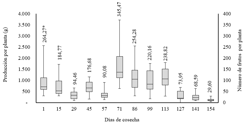 Distribución de la producción y *número de frutos por planta de Rubus floribundus (Kunth.), en la Finca 1 [El Pararrayo].