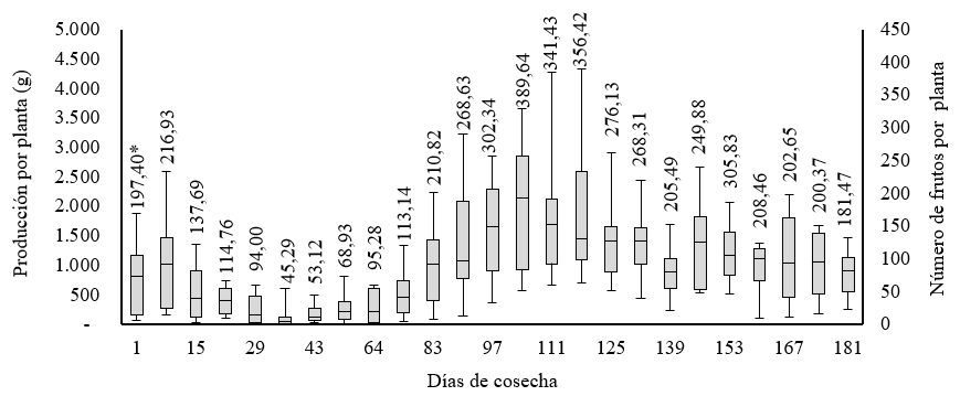 Distribución de la producción y *número de frutos por planta de Rubus floribundus (Kunth.), en la Finca 2 [El Arrayán].