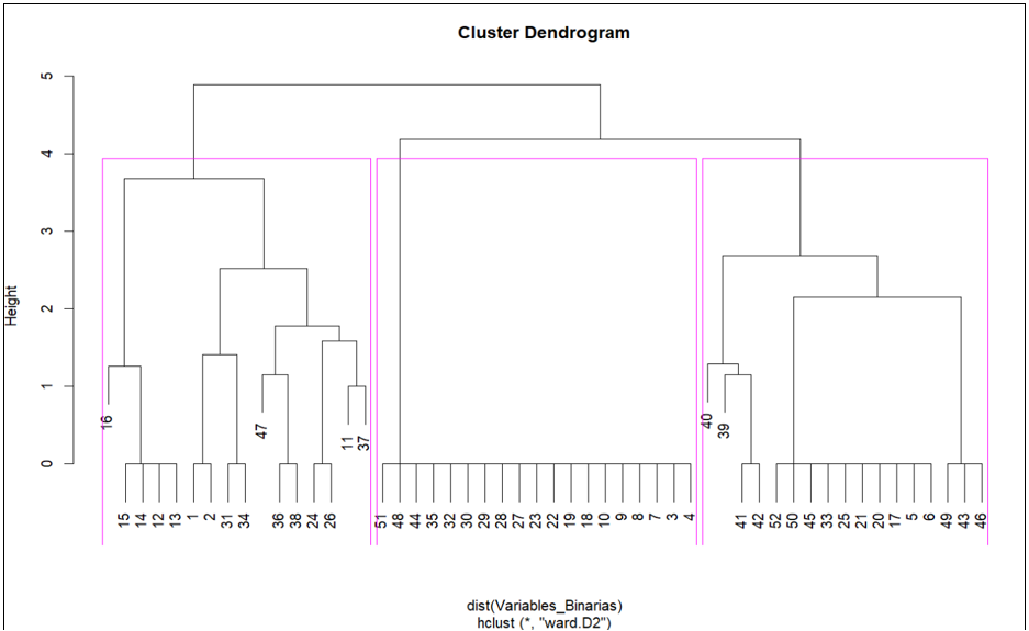 An&aacute;lisis de conglomerados para las variables de naturaleza binaria