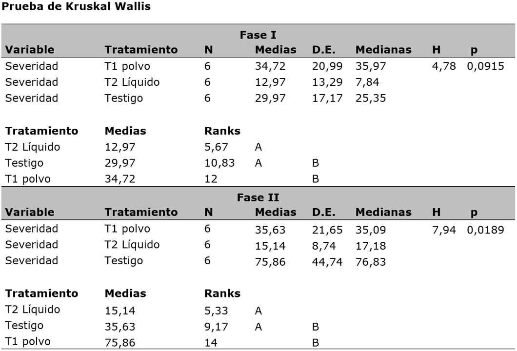 Prueba de Kruskal-Wallis para la incidencia de Phytophthora spp en plantas de cacao tratadas con Trichoderma spp. en presentaci&oacute;n en polvo y l&iacute;quido en dos &eacute;pocas de producci&oacute;n fase I y Fase II