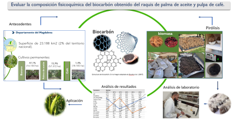 Diagrama del proceso desarrollado para evaluar la composici&oacute;n fisicoqu&iacute;mica del biocarb&oacute;n obtenido de raquis de palma de aceite y pulpa de caf&eacute;