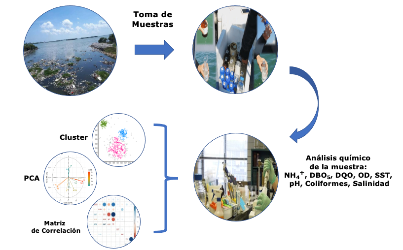 Diagrama de los procesos del desarrollo del estudio