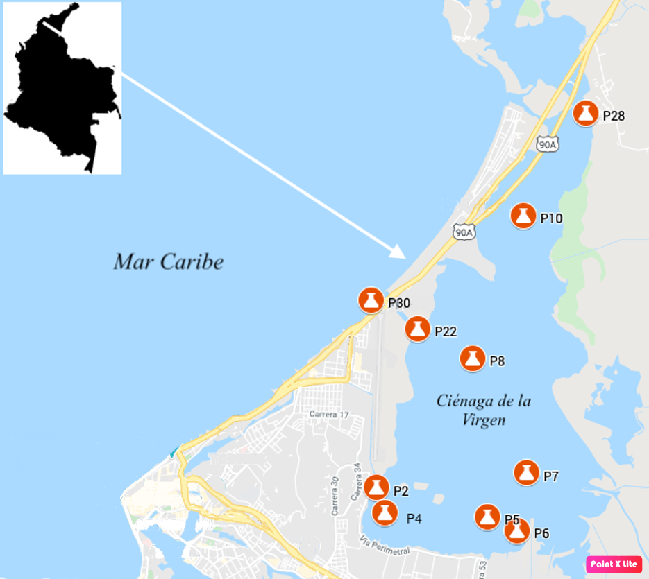 Puntos de toma de muestra en Ci&eacute;naga de la Virgen