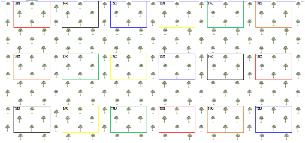 Distribuci&oacute;n de los tratamientos evaluados en campo