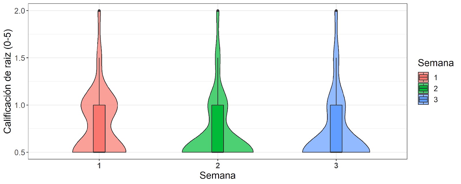Calificación del sistema radicular del cilantro (Coriandrum sativum L.) después de la primera, segunda y tercera semana de germinado