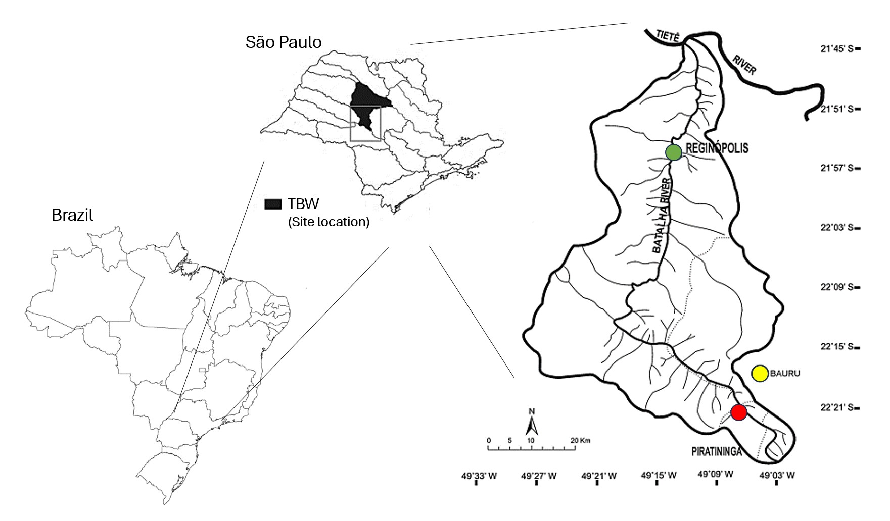 The Tiet&ecirc;-Batalha watershed (TBW), located in the State of S&atilde;o Paulo (Brazil), highlighting the course of the Batalha River between the two studied stretches, Regin&oacute;polis and Piratininga. For reference, Regin&oacute;polis is shown in gray, Piratininga in red, and Bauru in yellow.