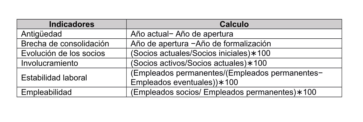 
Indicadores generados para el an&aacute;lisis