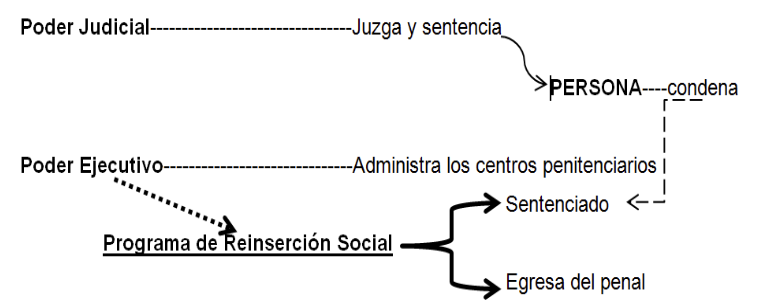 Aplicaci&oacute;n de la Reinserci&oacute;n social por el Poder Ejecutivo.