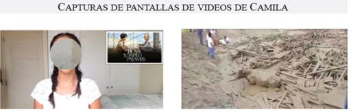 Pantallazos de observaciones en el corpus