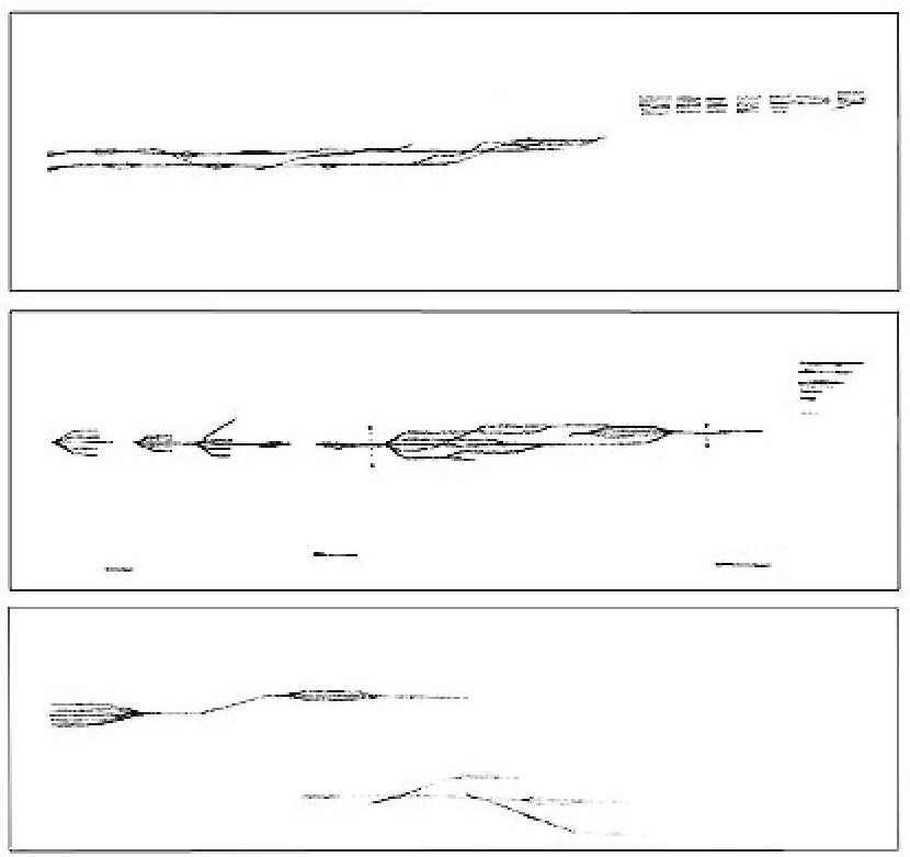 Fig. 5: Gradients of Detail (2005)