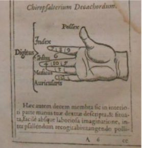  Detalhe do Chiropsalterium ou a “mão-saltério”, em Psalterium Decachordum (CONSTANTINENSI, 1598, p.11), na Seção de Obras Raras da Biblioteca Fran Paxeco.