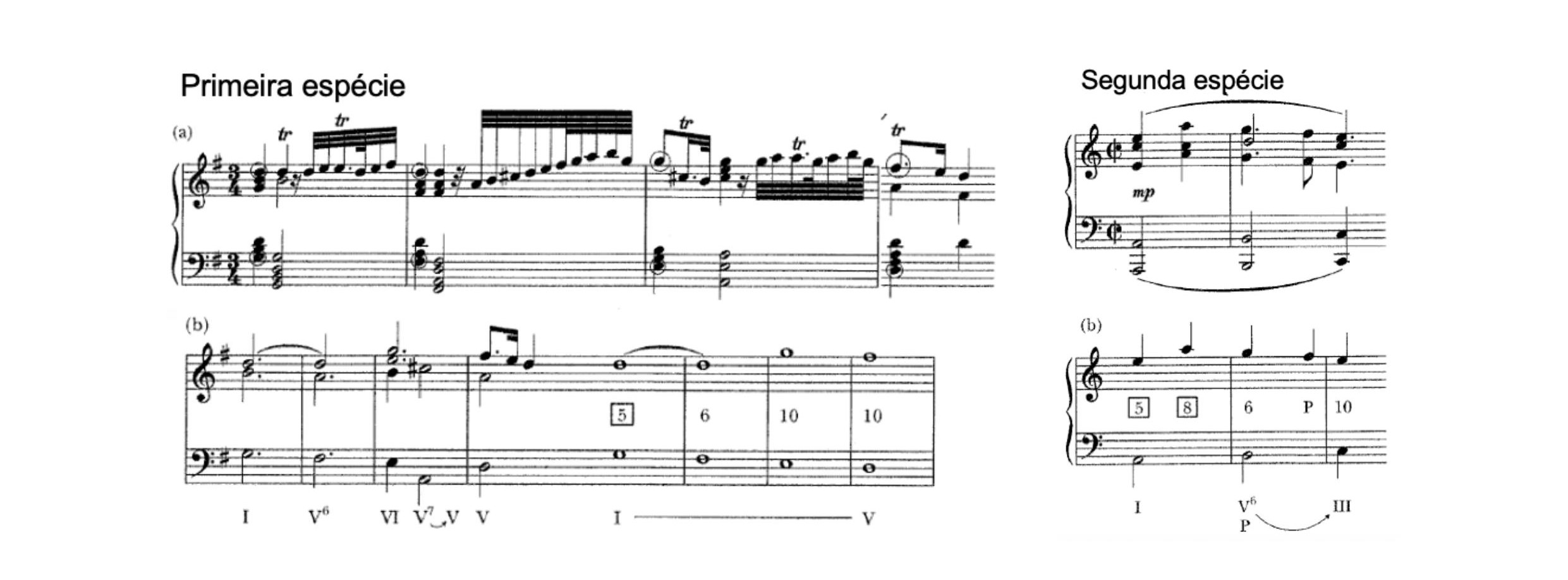 Fig. 7 – Ensino das duas primeiras espécies de contraponto com base na proposta schenkeriana: da obra musical à escuta das vozes e destas às diretrizes do contraponto.