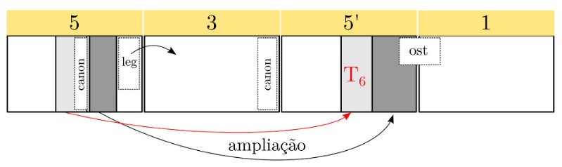 Esquema de concatenação dos Fragmentos 1, 3 e 5 para gerar o primeiro movimento (Noturno) do quinteto Brazilian Landscapes No.22, de Liduino Pitombeira