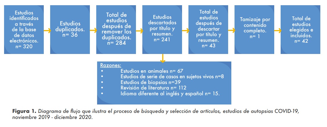 Figura 1
