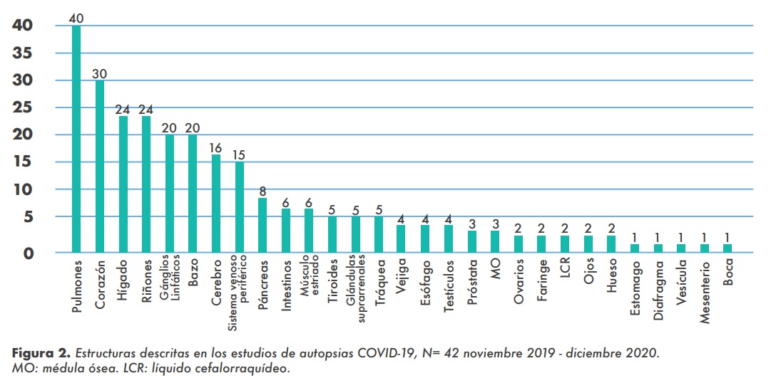 Figura 2.