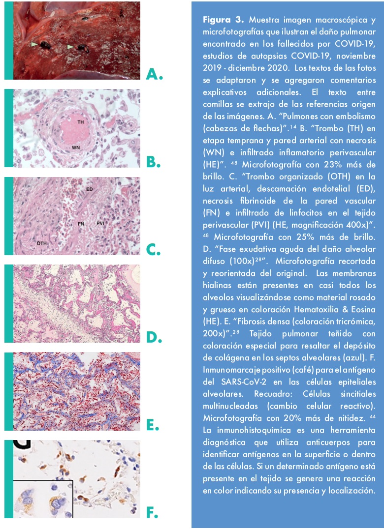 Figura 3