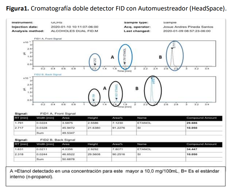 Figura 1