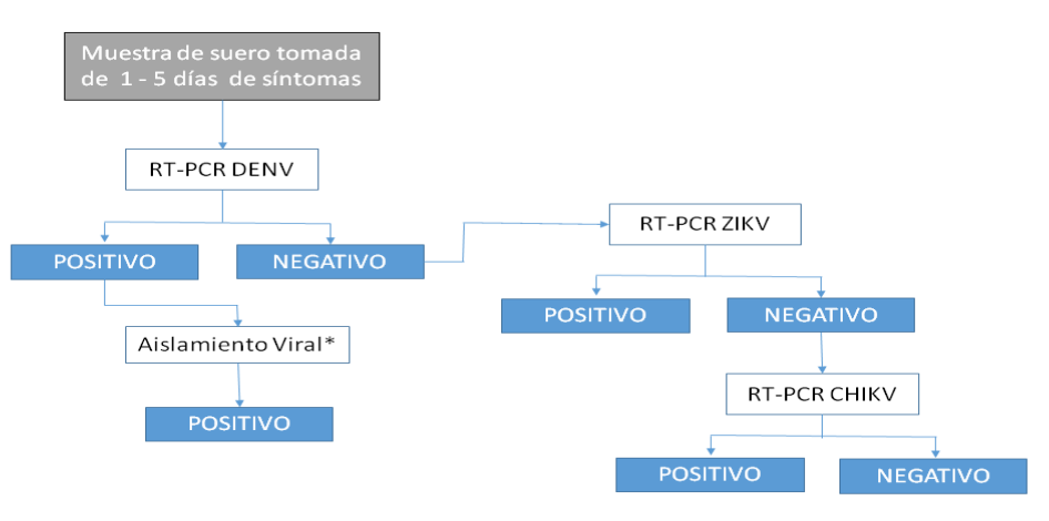 Figura 2