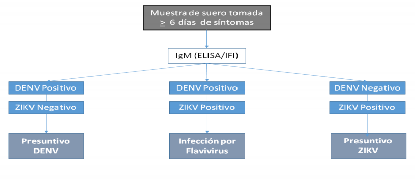 Figura 3