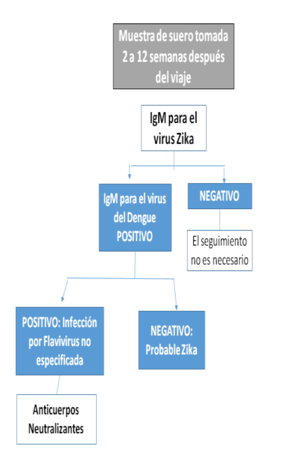 Figura 4