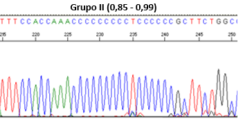 Grupo II (0,85 - 0,99)