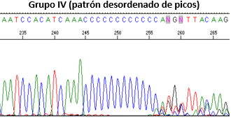 Grupo IV (patrón desordenado de picos)