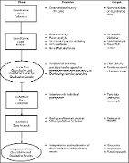 Visual display for the explanatory sequential study
design procedure